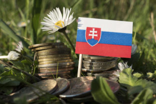 Vlajka, Slovensko, peniaze