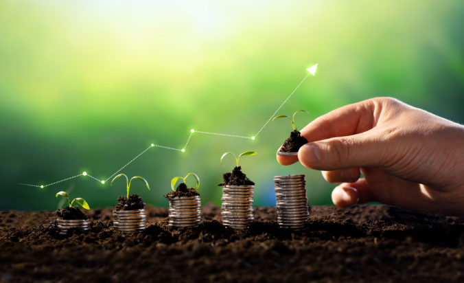 Concept of business growth,profit, development and success. Seedling are growing with business arrow of growth.Young plants on coin stacks  increase.Growing money,finance and investment.