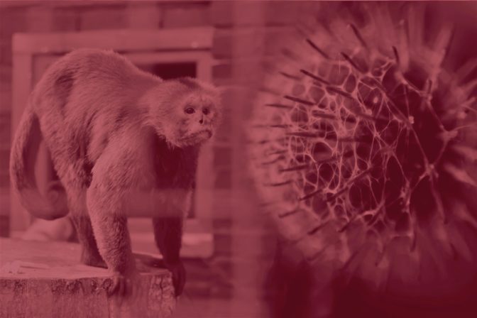 Opičie kiahne