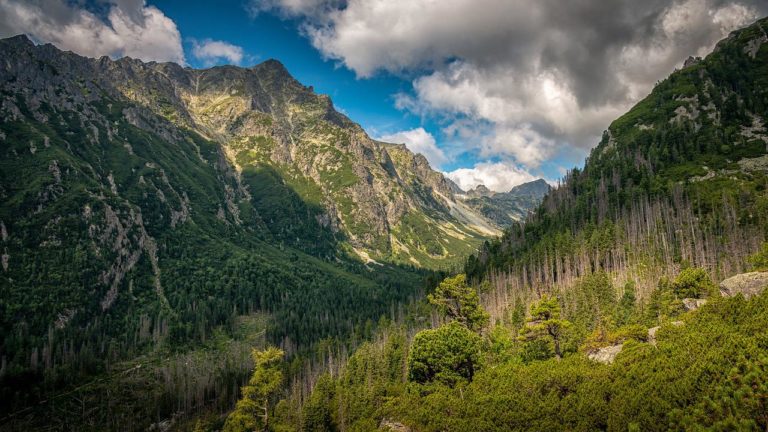 Vysoké Tatry
