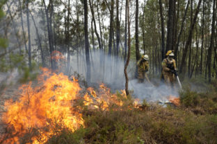 Lesný požiar, Portugalsko
