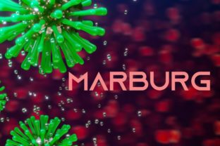Vírus Marburg