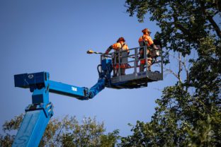 ENVIRO: Údržba ochranných pásiem vedení VVN