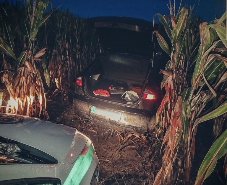 Policajná naháňačka, auto, polícia