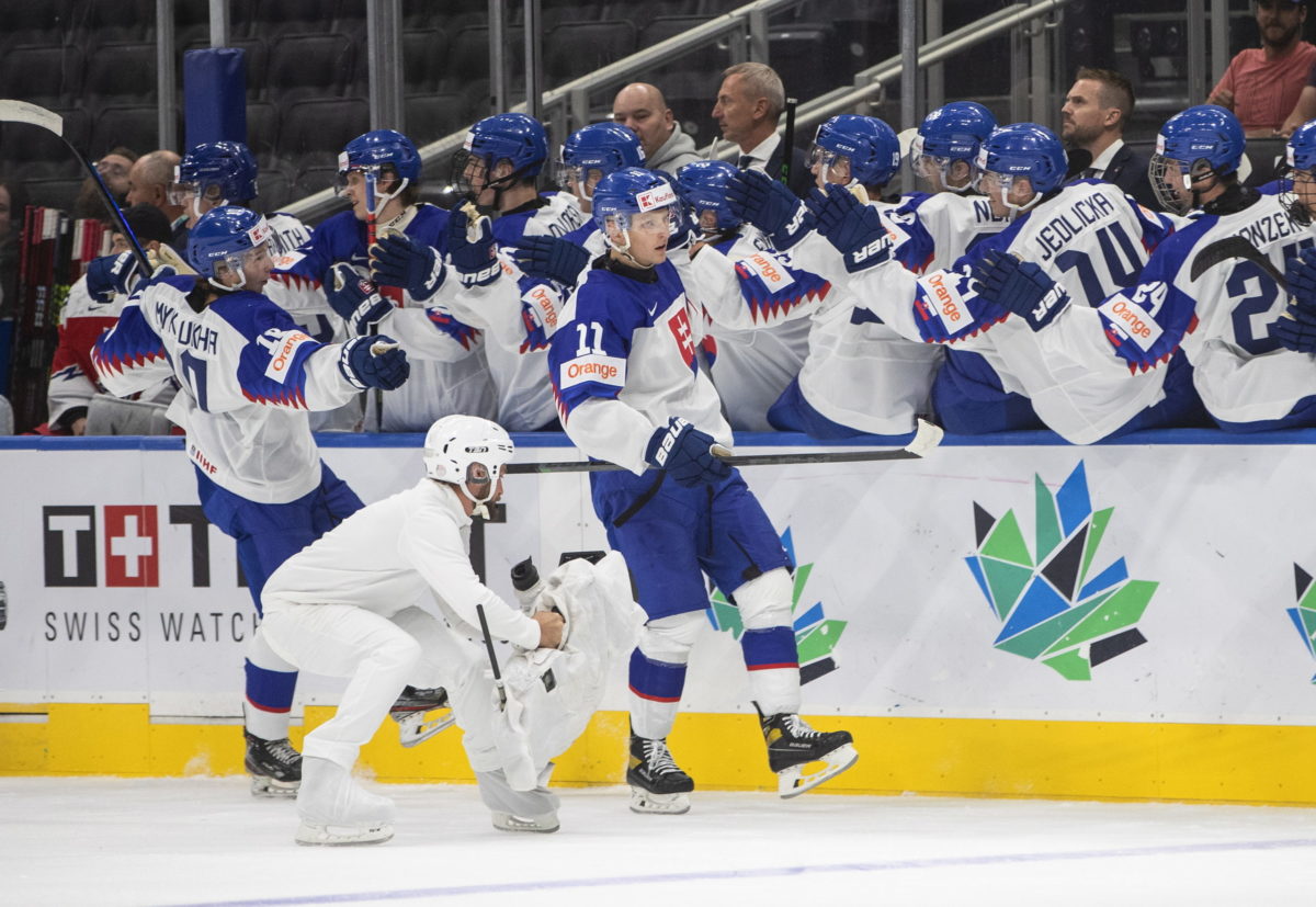 MS v hokeji do 20 rokov: Česko - Slovensko