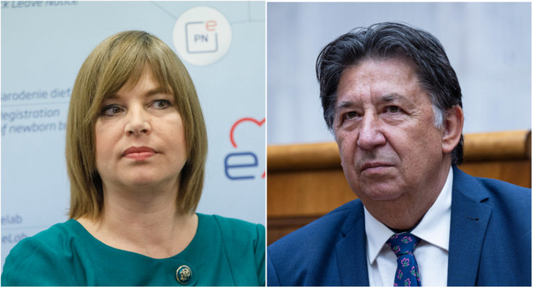 Budaj, Remišová