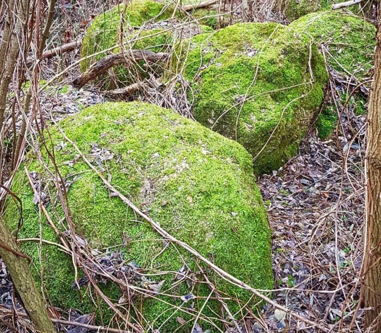 Nevysvetliteľné skalné útvary na Slovensku