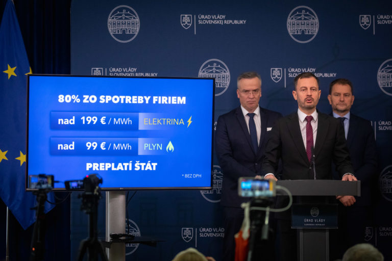VLÁDA: Hospodárska a sociálna rada