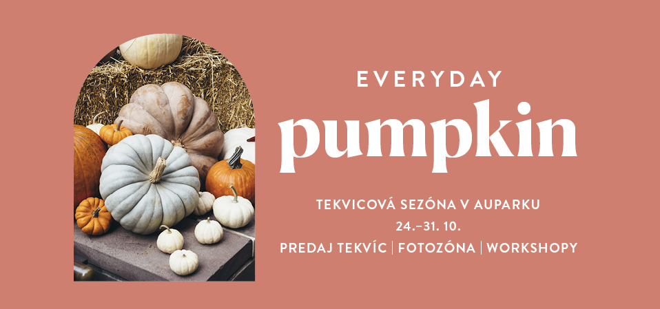 Auparcc11213412_everyday_tekvicova_sezona_novinka_958x449pix_v00_lhu_vystup.jpg