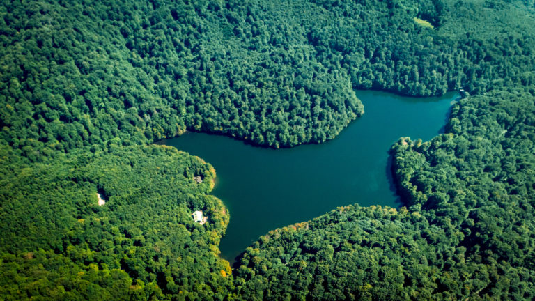 Morské oko, Vihorlat