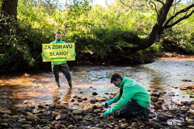 GREENPEACE: Preskúmala znečistenie rieky Slaná