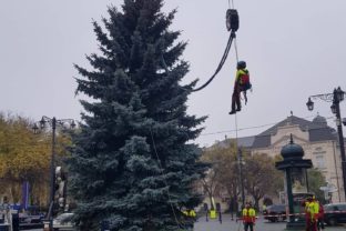 Vianočný stromček, Hviezdoslavovo námestie, Vianoce