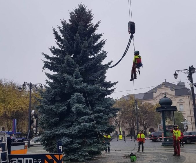 Vianočný stromček, Hviezdoslavovo námestie, Vianoce