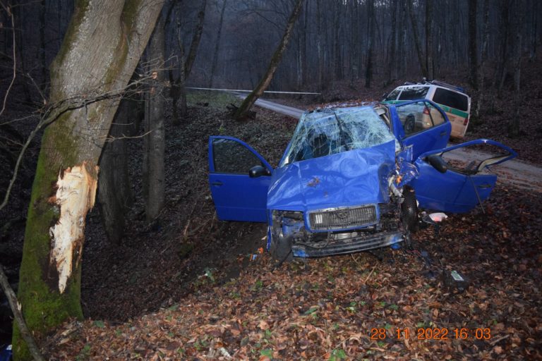 Tragická dopravná nehoda
