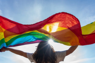 LGBTI, vlajka