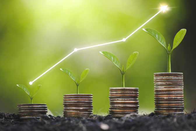 Seedling are growing on coins are stacked and the seedlings in Concept of finance And Investment of saving money or financial and business growth for profit