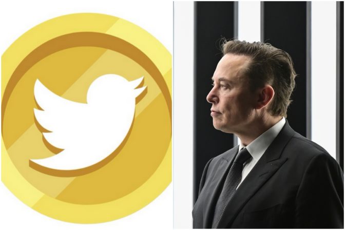 Twitter Coin, Elon Musk