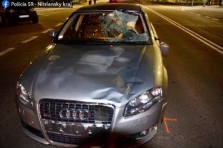 Tragická dopravná nehoda, zrážka auta s chodkyňou, Topoľčany