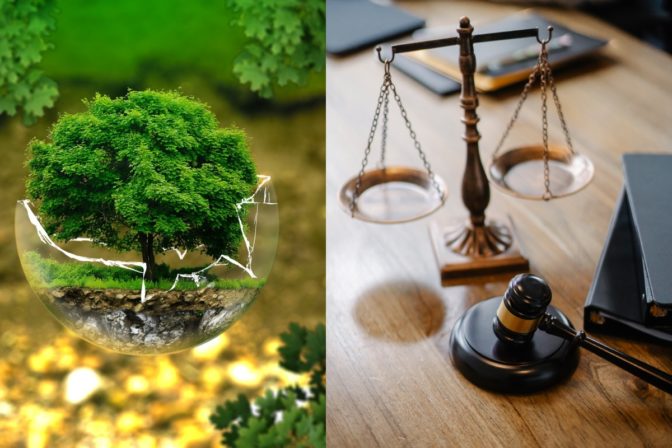 Befunky collage 2.jpg