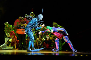 Cirque du Soleil, predstavenie OVO