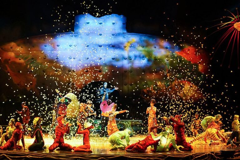Cirque du Soleil, predstavenie OVO