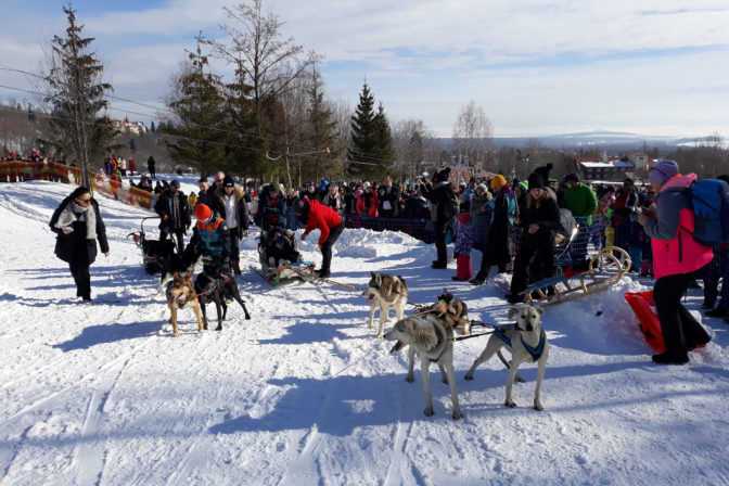 VYSOKÉ TATRY: Snežné psy v Tatranskej Lomnici
