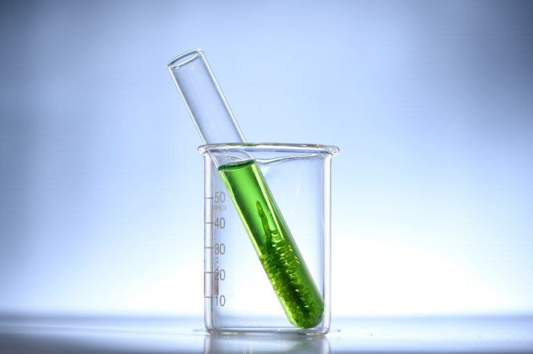 Algae bloom g3aacfc13b_1920.jpg
