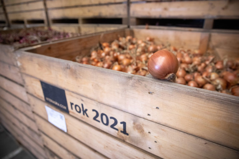 AGRO: Nedostatok cibule