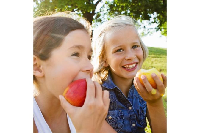 Novy projekt 1 2.jpg