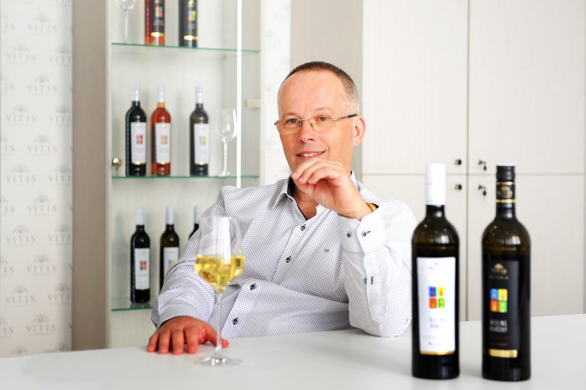 Vitis jurajm.jpg
