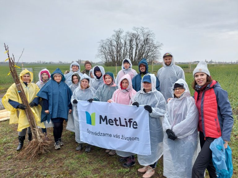 1_stromceky metlife foto.jpg