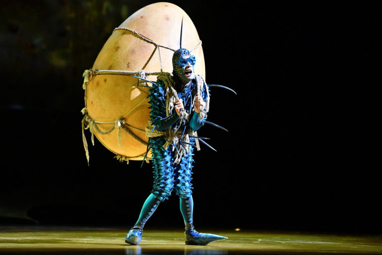 Cirque du Soleil, predstavenie OVO