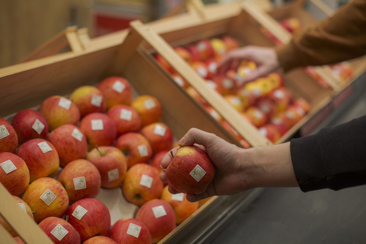 Kaufland ilustracna foto 2.jpg