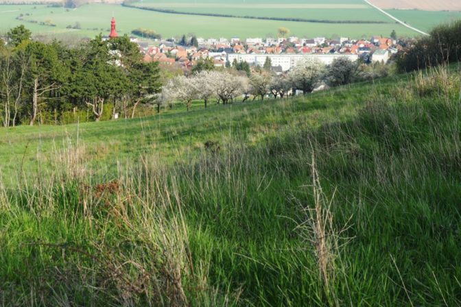 Molpír v Smoleniciach