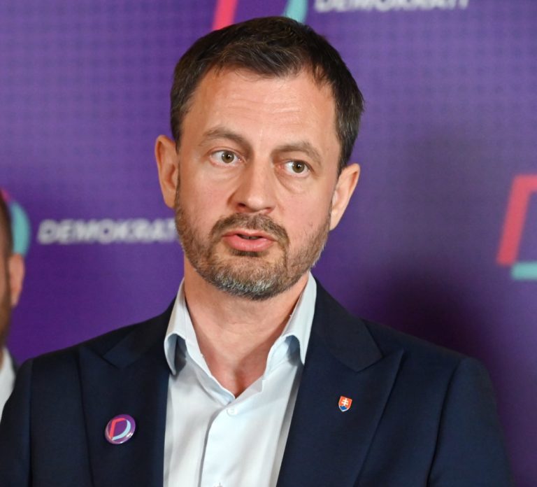 DEMOKRATI: Predstavili nové posily