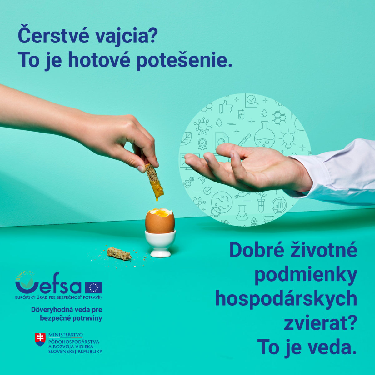 Efsa_1.jpg