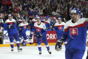 MS v hokeji 2023, Slovensko