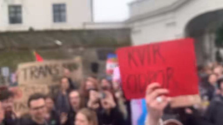 Matovič, video, protest