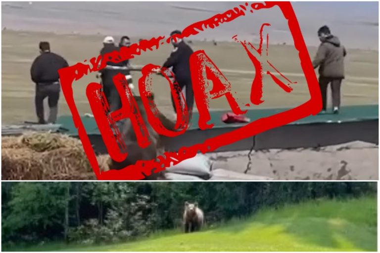 Medveď Smižany, Tále