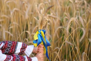 Ukrajina, pšenica