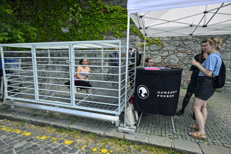 protest, klietkový chov sliepok, sliepky