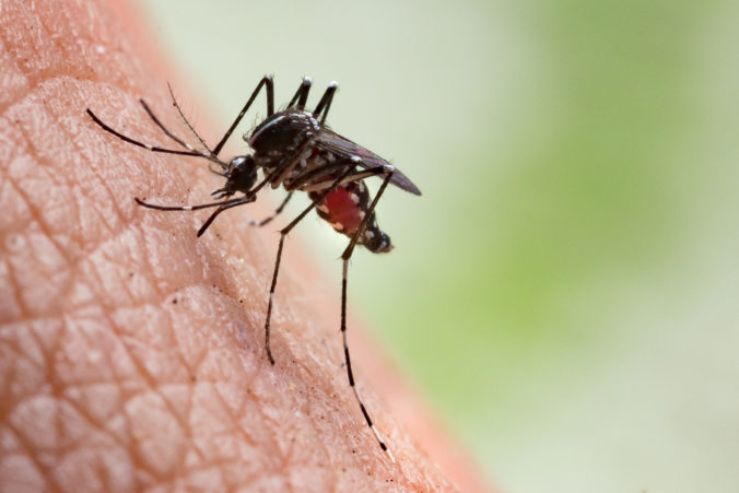 Komáre, vírusové opatrenia
