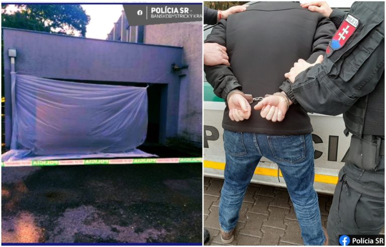 polícia, putá, páchateľ, vražda