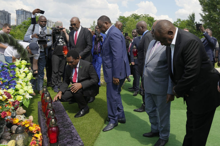 Vojna na Ukrajine, africká delegácia