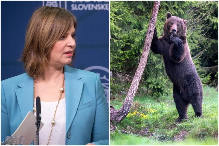Veronika Remišová, medveď