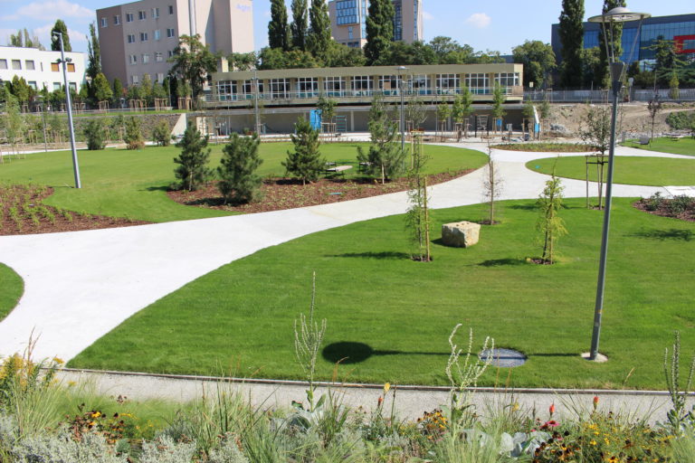 Park JAMA