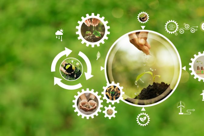 Nápady na zelené podnikanie pre ekologicky zmýšľajúcich podnikateľov