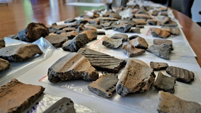 Nálezy z archeologického výskumu v Jánovciach pri Poprade