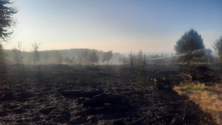 lesný požiar, Svätý Jur