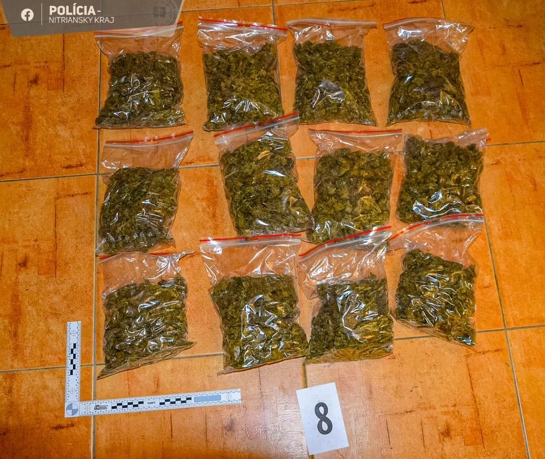 Zaistená marihuana